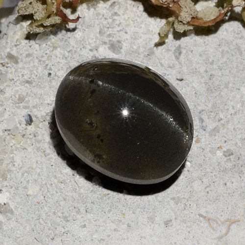 3.32ct Natural Negro Escapolita Ojo de Gato, Ovalada, Translúcido