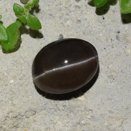 2.43ct Natural Marrón chocolate Escapolita Ojo de Gato, Ovalada, Translúcido