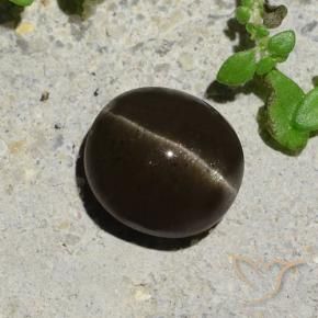 Escapolita Ojo de Gato Marrón negruzco natural de 2.64 ct, Ovalada, Translúcido
