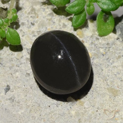 2.94ct Natural Negro Escapolita Ojo de Gato, Ovalada, Translúcido