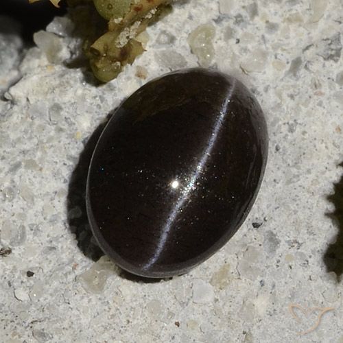 Cat's eye scapolite negro natural de 1,47 ct, corte óvalo, translúcido