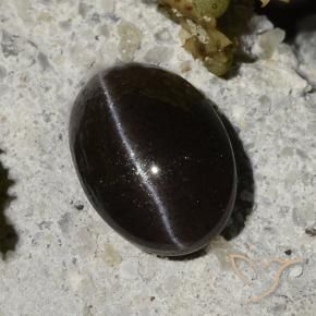 Cat's eye scapolite negro natural de 1,47 ct, corte óvalo, translúcido