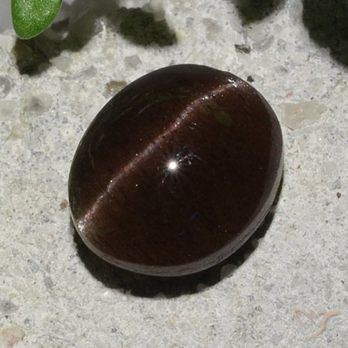 2.04ct Natural Marrón oscuro Escapolita Ojo de Gato, Ovalada, Translúcido