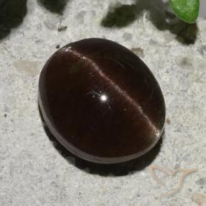 Escapolita Ojo de Gato Marrón oscuro natural de 2.04 ct, Ovalada, Translúcido