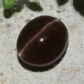 Escapolita Ojo de Gato Marrón oscuro natural de 2.04 ct, Ovalada, Translúcido