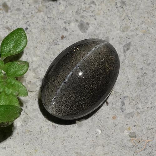1.48ct Natural Gris oscuro Escapolita Ojo de Gato, Ovalada, Translúcido