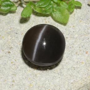 Escapolita Ojo de Gato Marrón natural de 1.96 ct, Corte Redondo, Translúcido