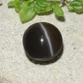 Escapolita Ojo de Gato Marrón natural de 1.96 ct, Corte Redondo, Translúcido