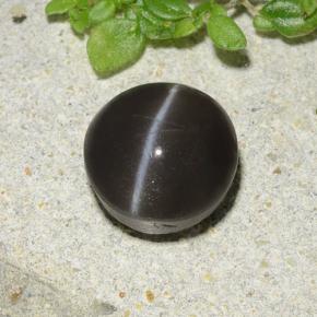 Cat's eye scapolite negro natural de 2,49 ct, corte redondo, translúcido