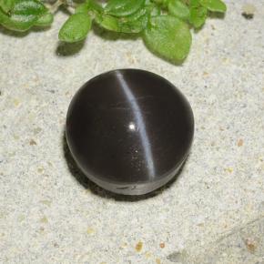 Cat's eye scapolite negro natural de 2,49 ct, corte redondo, translúcido