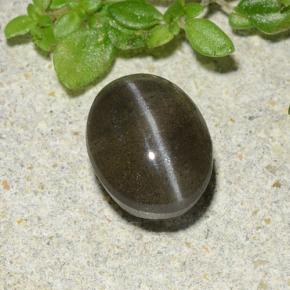 Cat's eye scapolite negro natural de 1,46 ct, corte óvalo, translúcido