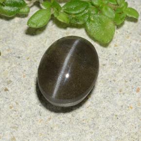 Cat's eye scapolite negro natural de 1,46 ct, corte óvalo, translúcido