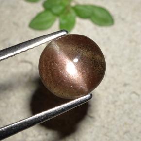 Cat's eye scapolite marrón natural de 1,76 ct, corte redondo, translúcido