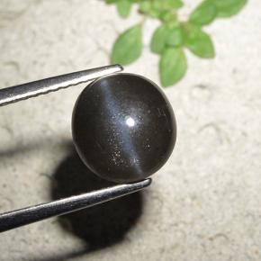 Cat's eye scapolite negro natural de 3,23 ct, corte redondo, opaco