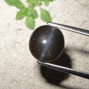 Cat's eye scapolite negro natural de 3,23 ct, corte redondo, opaco