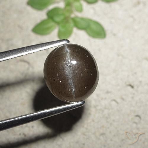 2.56ct Natural Marrón medio Escapolita Ojo de Gato, Redondo, Translúcido