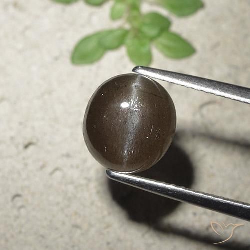 Escapolita Ojo de Gato Marrón medio natural de 2.56 ct, Redondo, Translúcido