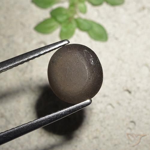 Escapolita Ojo de Gato Marrón medio natural de 2.56 ct, Redondo, Translúcido