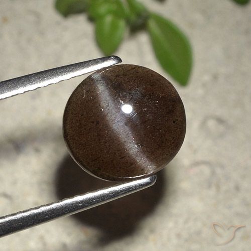 Escapolita Ojo de Gato Marrón chocolate natural de 2.01 ct, Corte Redondo, Translúcido