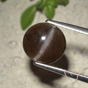 Escapolita Ojo de Gato Marrón chocolate natural de 2.01 ct, Corte Redondo, Translúcido