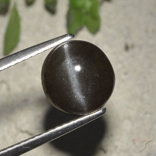 Cat's eye scapolite negro natural de 2,72 ct, corte redondo, translúcido