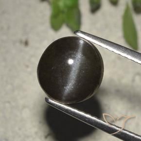Cat's eye scapolite negro natural de 2,72 ct, corte redondo, translúcido