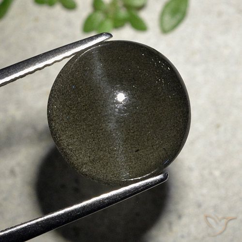 6.50ct Natural Negro Escapolita Ojo de Gato, Redondo, Translúcido