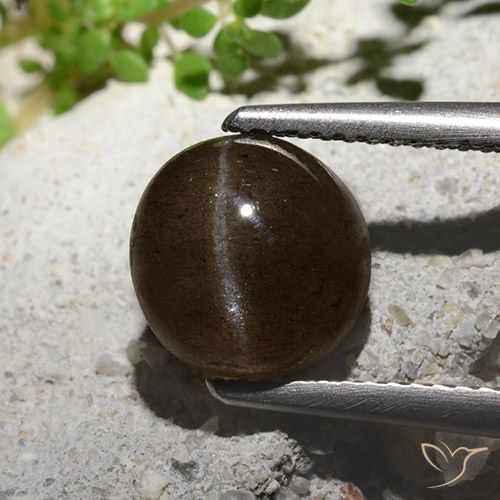 3.08ct Natural Marrón medio Escapolita Ojo de Gato, Redondo, Translúcido