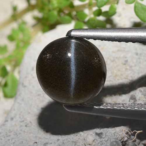 2.60ct Natural Negro Escapolita Ojo de Gato, Redondo, Translúcido