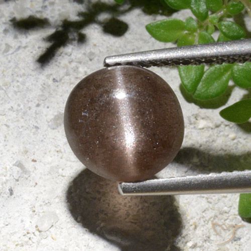2.76ct Natural Marrón Escapolita Ojo de Gato, Redondo, Translúcido