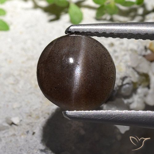 1.82ct Natural Marrón sombra Escapolita Ojo de Gato, Redondo, Translúcido