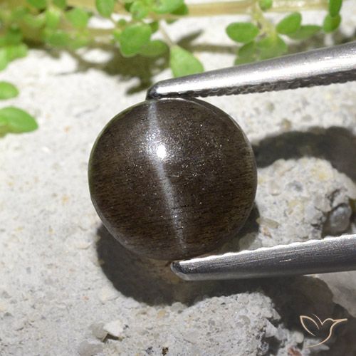 2.16ct Natural Marrón claro medio Escapolita Ojo de Gato, Redondo, Translúcido