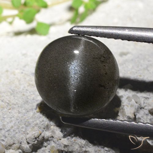 2.71ct Natural Negro Escapolita Ojo de Gato, Redondo, Translúcido