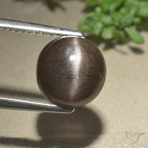3.07ct Natural Marrón sombra Escapolita Ojo de Gato, Redondo, Translúcido