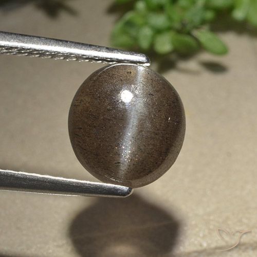 2.54ct Natural Marrón sombra Escapolita Ojo de Gato, Ovalada, Translúcido