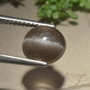 Escapolita Ojo de Gato Marrón sombra natural de 2.54 ct, Ovalada, Translúcido
