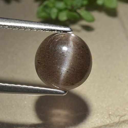 2.28ct Natural Marrón medio Escapolita Ojo de Gato, Redondo, Translúcido