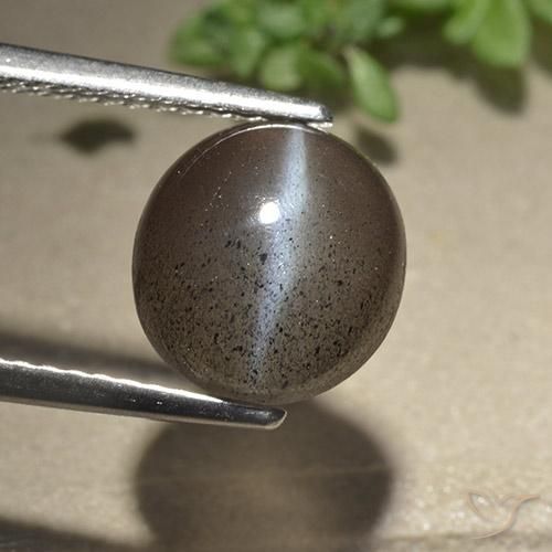 3.06ct Natural Marrón expreso Escapolita Ojo de Gato, Redondo, Translúcido