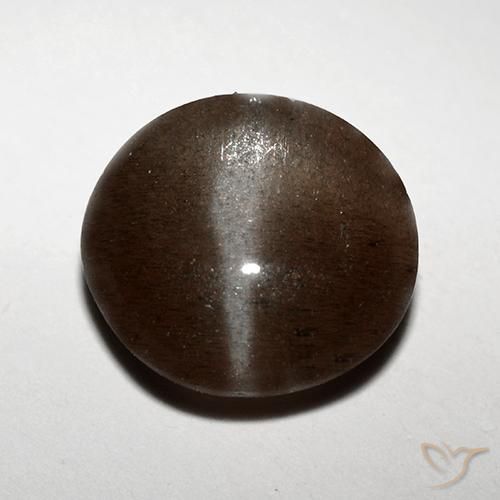 3.10ct Natural Marrón chocolate Escapolita Ojo de Gato, Redondo, Translúcido