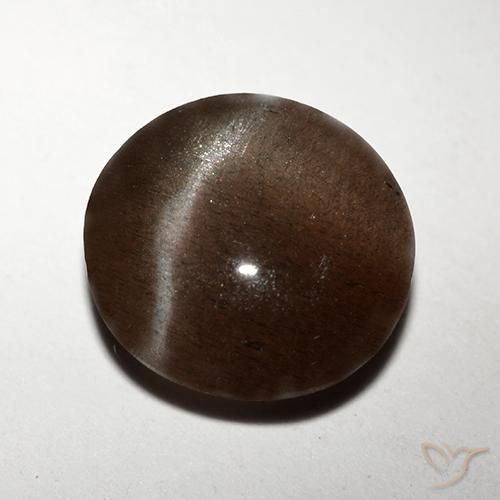 Escapolita Ojo de Gato Marrón chocolate natural de 3.10 ct, Redondo, Translúcido