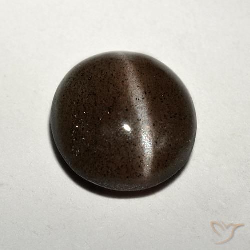 Cat's eye scapolite marrón natural de 1,50 ct, corte redondo, translúcido