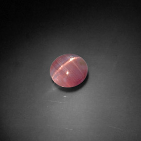 Cat's eye tourmaline rosa natural de 1,04 ct, transparente, transparente / translúcido