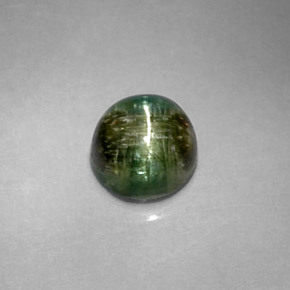 Cat's eye tourmaline verde natural de 1,20 ct, corte redondo, opaco