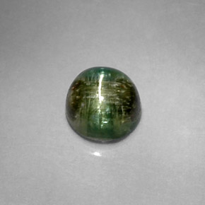 Cat's eye tourmaline verde natural de 1,20 ct, corte redondo, opaco