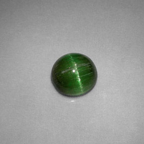 Cat's eye tourmaline verde natural de 0,85 ct, corte redondo, opaco