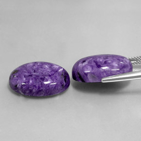 Gemas de charoíta violeta natural de  ct, corte óvalo, opaco