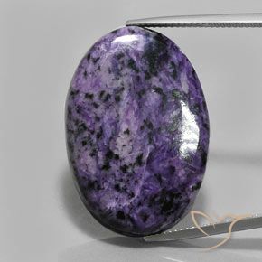 Charoíta Violeta oscuro natural de 32.45 ct, Corte Óvalo, Opaco