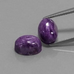 Gemas de charoíta violeta natural de  ct, corte óvalo, opaco