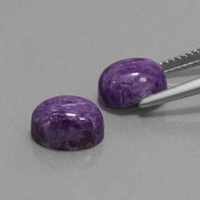 Gemas de charoíta violeta natural de  ct, corte óvalo, opaco