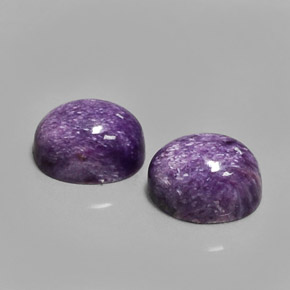 Gemas de Charoíta Violeta natural de  ct, Corte Óvalo, Opaco